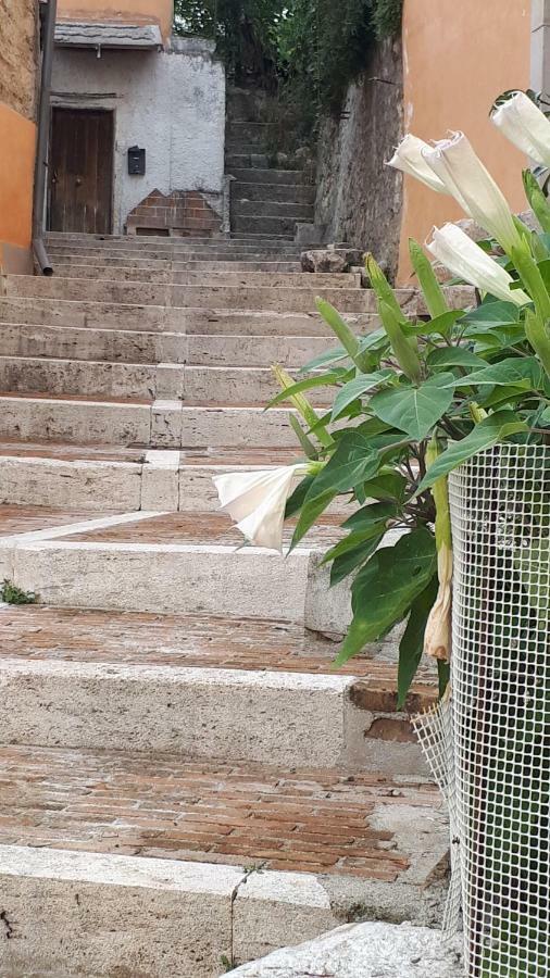 S. Mercurio Villa Campobasso Luaran gambar